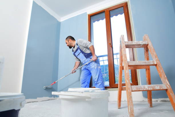 Best Residential Painting  in South Holland, IL